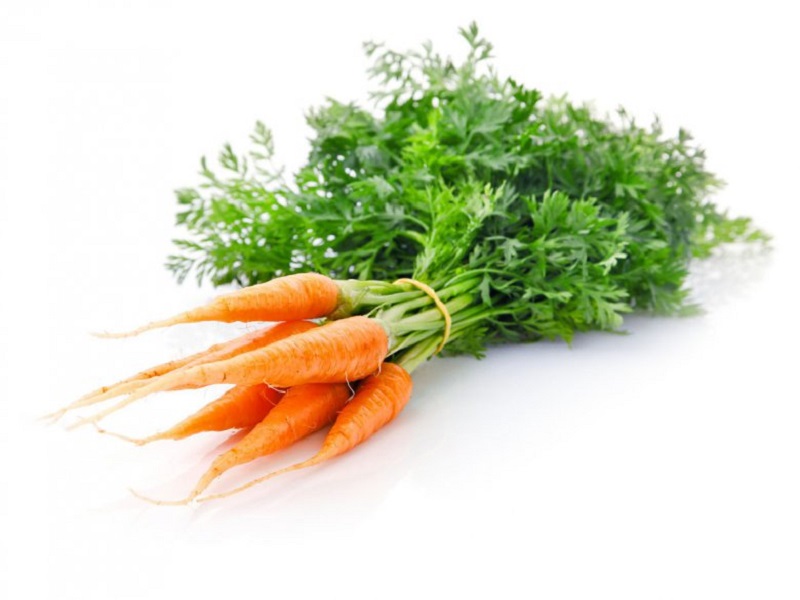 Морковное концентрированное пюре купить оптом